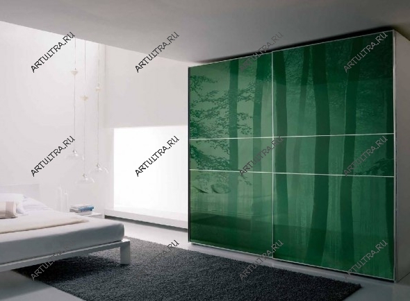 Фото леса на фасаде шкафа купе