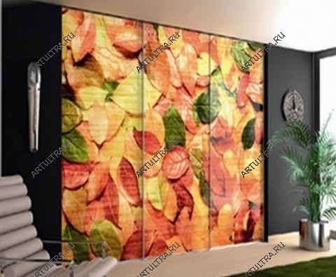 Фотопечать на фасаде шкафа - осень
