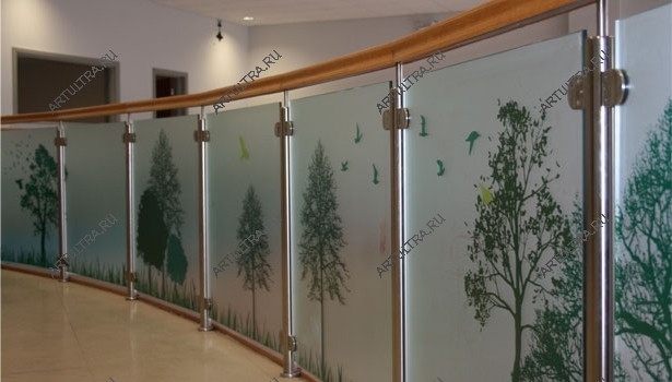 Летний лес - фотопечать на стеклянной перегородке